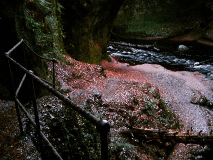 15d01c5d2d9b0d9f489c5ee6fe80bb05