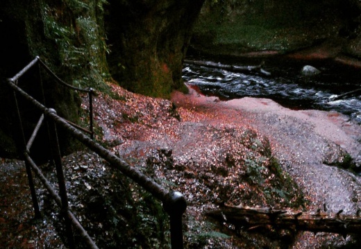 15d01c5d2d9b0d9f489c5ee6fe80bb05