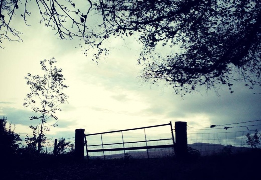 41f1e8af4904b8e35f50ba73e0b5ab31