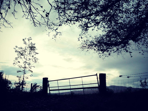 41f1e8af4904b8e35f50ba73e0b5ab31