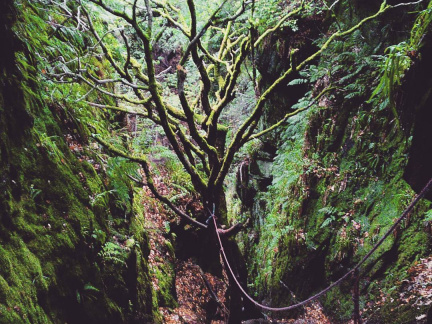 294d81373bf4b196730b348e96de4081