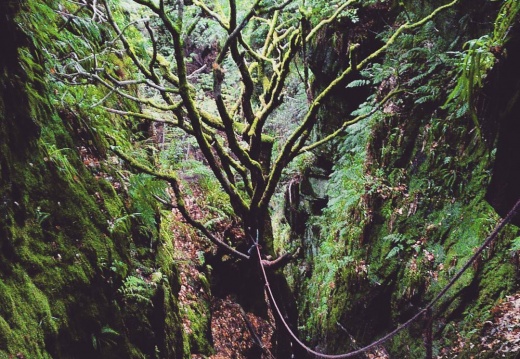 294d81373bf4b196730b348e96de4081