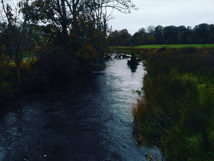 8952219b4b61f79a46a3a0dc9a6e6b3b