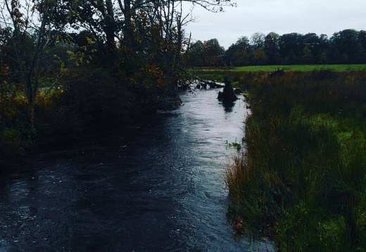 8952219b4b61f79a46a3a0dc9a6e6b3b