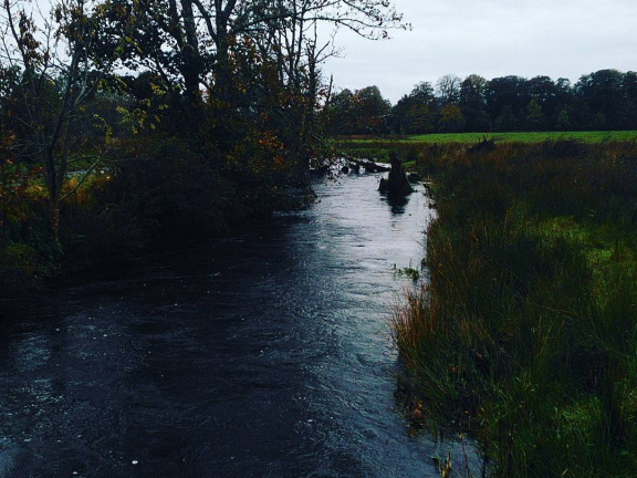 8952219b4b61f79a46a3a0dc9a6e6b3b