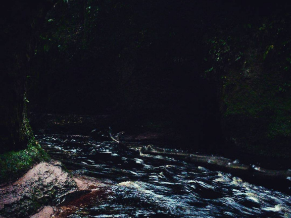 ae43d03859f736b9f53068b74b2a0245