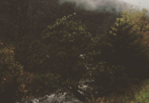 be8db5617700ef3e82ec50cfa7882172