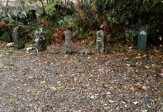 c445008da5aa3a1924e6876caf357dd3