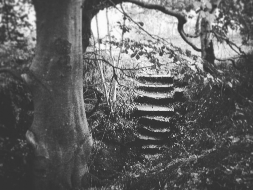 6c4775134157d5be4817bc5d4705a467