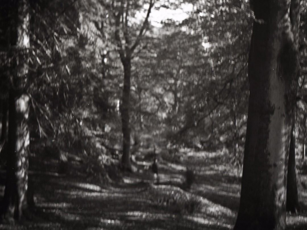 fc3e22a68a71affb1881182b309fcf40