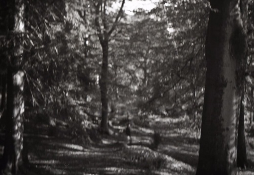 fc3e22a68a71affb1881182b309fcf40