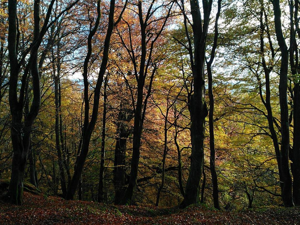 2ef1edf8a12a382f70ed6c2eca7d13dd