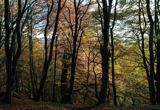 2ef1edf8a12a382f70ed6c2eca7d13dd