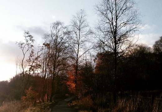 541e35d42da25c745fb2548659a1593b