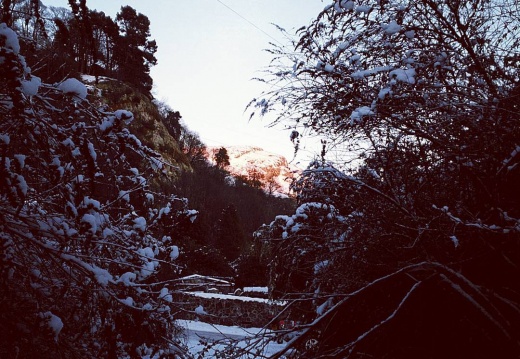 54ecf0a48041682cd0cadf71f8590e8b