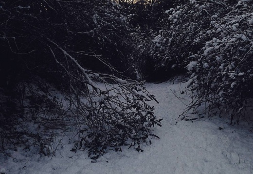 925e321d5214c56883e9e52733acc6b8