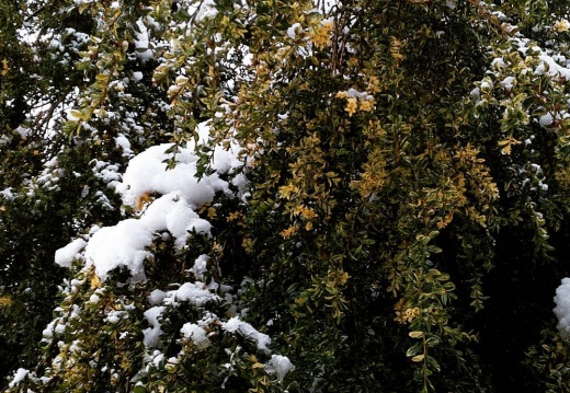 8122e96f7a3f7c4d7266d0c0bbe02ab9