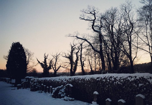 47019a98fdb7a03d44ed72a82783e6b9