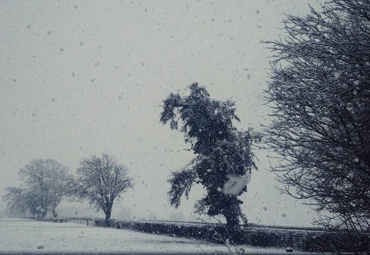 2fa848ff6985ce2092105725bb992170