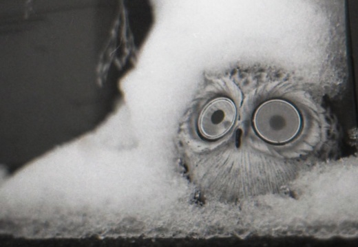 17bfec94256c3ffc09432651e9f7e4ff