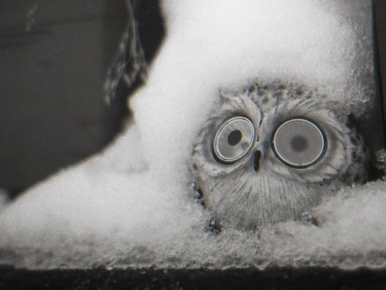 17bfec94256c3ffc09432651e9f7e4ff