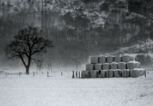 480a8ba736cc74845427eb984a7fc839