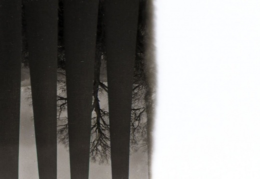 b828beabd5a5d1c22d6fa20ee7fbabf3