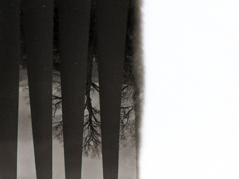 b828beabd5a5d1c22d6fa20ee7fbabf3