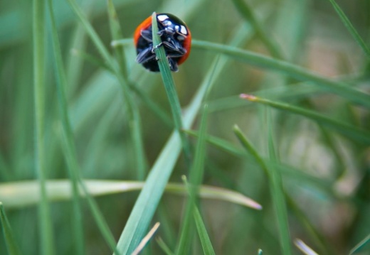 b7989862d4d5cf95c8ccaf10f4f8bff8