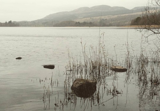 97cfa895807847a9faa93fe634a21c30