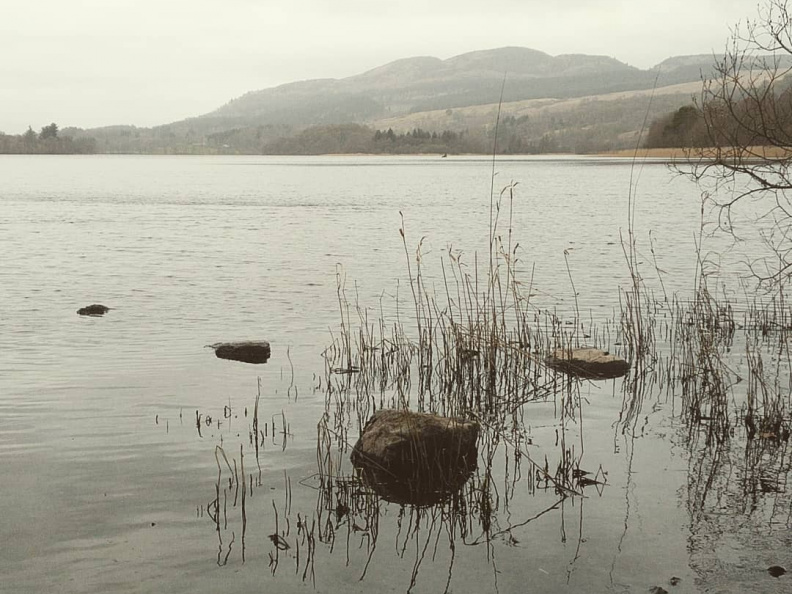 97cfa895807847a9faa93fe634a21c30