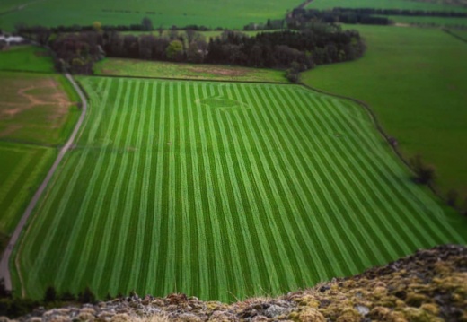 31c13c8b9dee7806297b4578d88bf61d