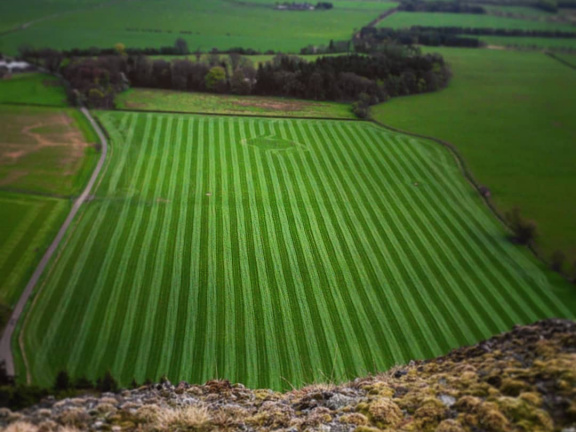 31c13c8b9dee7806297b4578d88bf61d