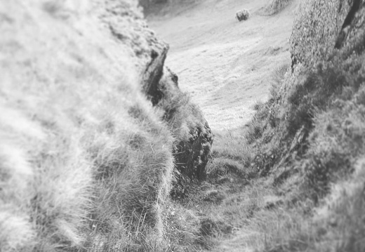 13612008d178673e48db4cc7dd892474