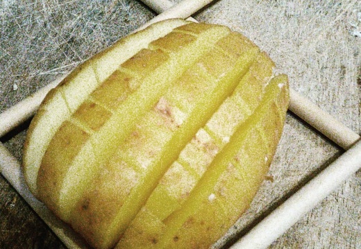 c8d6e35c7a133711d4ad28907c7f8e16