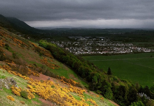 ecbdfd805e8b0a31308fcbb7a1134807