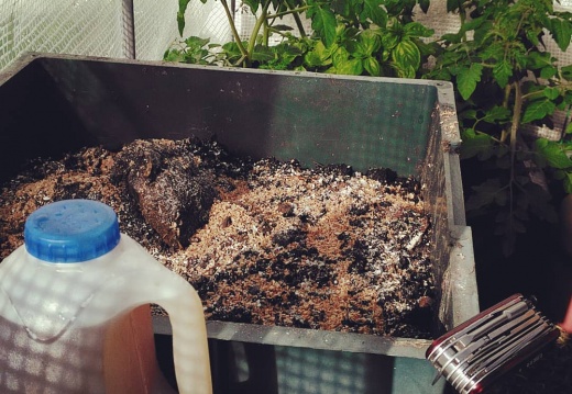 8230ea9388a2e97c8e86ca3add91c869