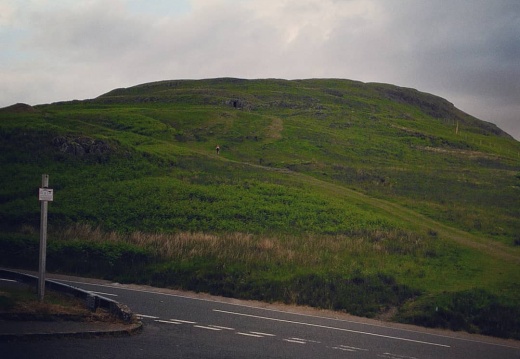 e973edc91f008f9e04eaebb36ca0d8c2