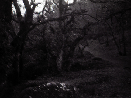 halina paulette tri-x003