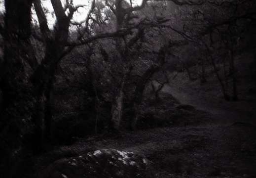 halina paulette tri-x003