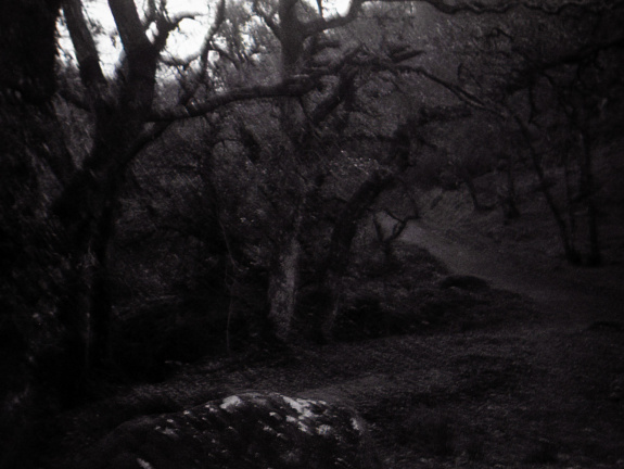 halina paulette tri-x003