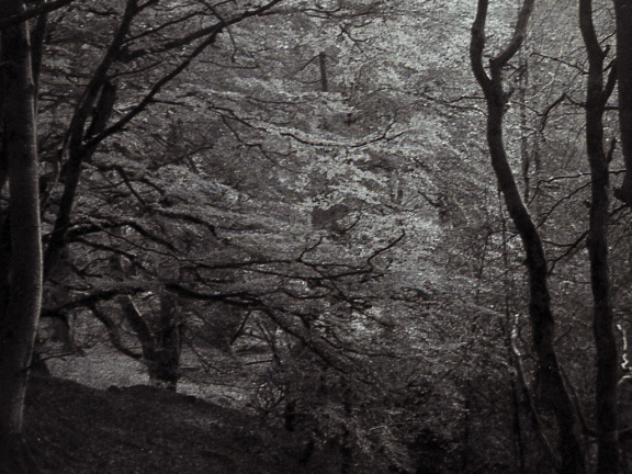 halina paulette tri-x007