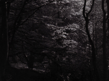 halina paulette tri-x009