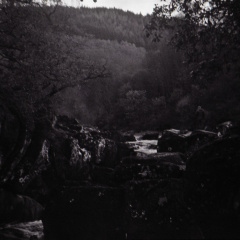 halina paulette tri-x005