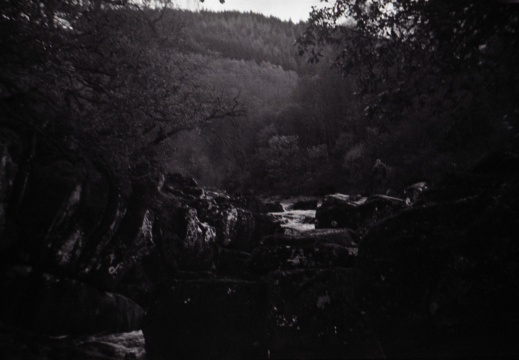 halina paulette tri-x005