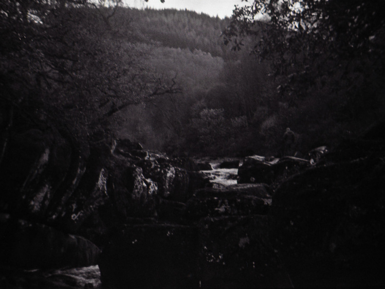 halina paulette tri-x005