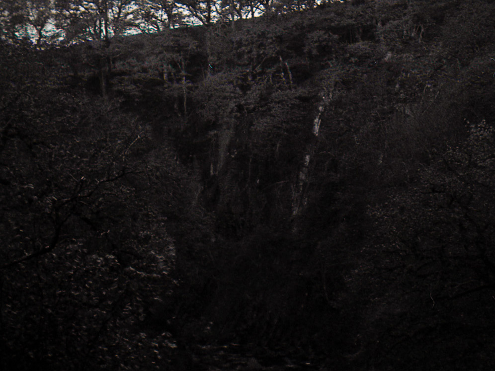 halina paulette tri-x013