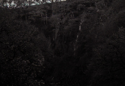 halina paulette tri-x013