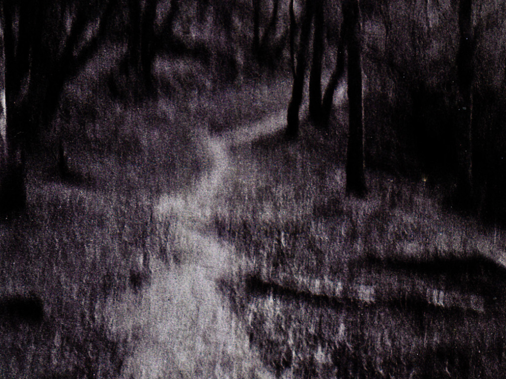 halina paulette tri-x022