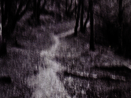 halina paulette tri-x022